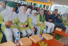 Kirab Santri Nasional di Tanah Miring Bukti Kekompakan Muslimat NU Papua Selatan