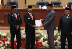Gubernur Apolo Safanpo Tegaskan OPD Papua Selatan Segera Selesaikan Rekomendasi BPK
