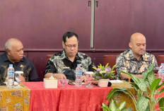 Pentingnya Data OAP Terpilah dalam Perencanaan Pembangunan Papua Selatan