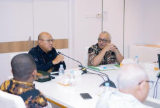 Dukung PSN Merauke, Pemprov Papua Selatan Lobi Kementerian Komdigi Bangun 25 Tower 4G