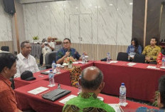 Potensi Gambir Papua Selatan, Komoditas HHBK Penopang Ekonomi Warga Sekitar Hutan