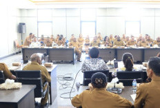 Target WTP 2026: Strategi Pemprov Papua Selatan Benahi Tata Kelola Keuangan Daerah