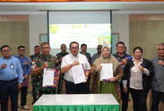 Sinergi TNI dan Pemerintah: Target 50 Ribu Hektare Cetak Sawah Rakyat di Merauke Dimulai