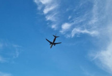 Insiden Penembakan Pesawat Smart Air di Papua Selatan, Polisi Kejar Pelaku ke Wilayah Korowai