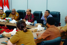 Langkah Papua Selatan Susun Peta Jalan Pembinaan Ideologi Pancasila Bersama BPIP