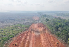 Konflik Agraria PSN Merauke Memanas: Salib Simbol Perlawanan Marga Moyuwend Buako Dirusak