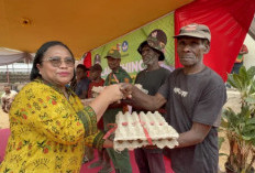 Pelopor Papua Selatan: SMKN 4 Mappi Resmi Luncurkan Produksi Ayam Petelur Berbasis Wirausaha Siswa