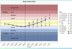 Waspada Cuaca Ekstrem, BMKG Papua Selatan Prediksi Curah Hujan Meningkat hingga Februari 2026
