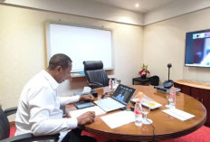 Dongkrak DAU dan Kursi Legislatif, Gubernur Apolo Safanpo Desak Pendataan Ulang OAP di Papua Selatan