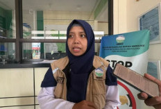 Lonjakan Titik Panas Papua Selatan: Merauke Menyumbang Terbanyak, Begini Penjelasan BMKG