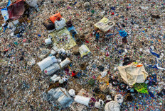 Merauke Dikepung Sampah: Volume Limbah Harian Meroket hingga 100 Ton Akibat Status Ibu Kota