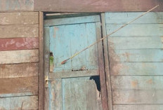 Dinamika PSN di Merauke: Penolakan Tanah Adat Berujung Konflik Sosial Antarwarga