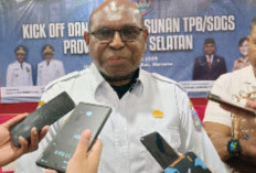 Tantangan Berat DOB Baru: Penurunan Dana TKD Papua Selatan Ancam Visi Misi Kepala Daerah 2026