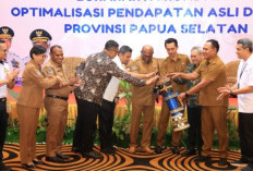 Transformasi Digital Papua Selatan: Aplikasi Pajak Daerah Resmi Diluncurkan untuk Genjot PAD
