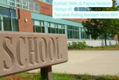 BPS Catat Papua Selatan Punya Jumlah SMA Paling Sedikit di Indonesia