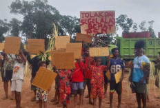 Gugatan Masyarakat Adat Papua Selatan: Menolak Alih Fungsi 486 Ribu Hektar Hutan Adat