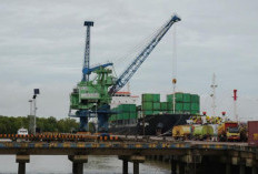 Arus Peti Kemas TPK Merauke Melonjak 13,5%, Sukses Perkuat Logistik di Papua Selatan