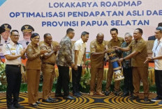 Membangun Kemandirian Fiskal: Strategi Papua Selatan Perkuat PAD Melalui Roadmap Strategis