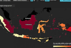Ribuan Titik Panas Mengepung Area Proyek Lumbung Pangan di Kalimantan Tengah dan Papua