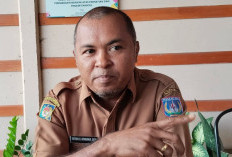 Efisiensi Anggaran Ketat, Volume Tender Pemerintah Provinsi Papua Selatan Turun Signifikan Tahun Ini