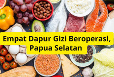 Dapur Gizi hingga TKG, Papua Selatan Genjot Program Kesehatan Masyarakat 2026