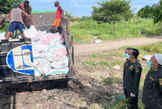 Amankan Pangan Warga, Karantina Papua Selatan Tahan 12 Ton Daging Ayam Tak Layak di Pelabuhan Merauke