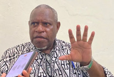 MRP Papua Selatan Dukung Penolakan Pemerintah Mappi terhadap Perusahaan Sawit