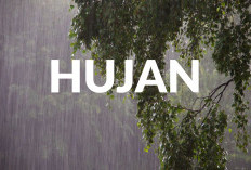 Waspada! BMKG Merauke Rilis Prakiraan Cuaca Pelabuhan Papua Selatan Hingga 4 April 2026