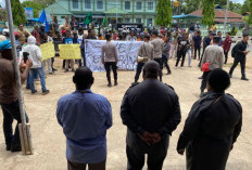 MRP Papua Selatan: Mahkota Cenderawasih Harus Dilindungi, Bukan Dibakar