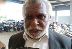 Dominasi Pelamar Luar di CPNS 2024, Wagub Papua Selatan Protes ke Kemenpan RB