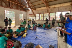 MPSI Dorong Kesejahteraan Wanam Lewat Peningkatan Kompetensi Pertanian Masyarakat Adat